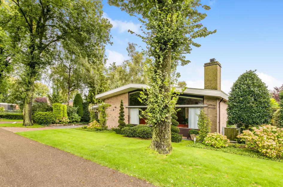 De Nieuwe Plantagie 6