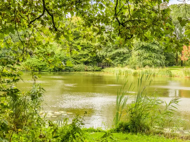 De Nieuwe Plantagie 6, HEILOO