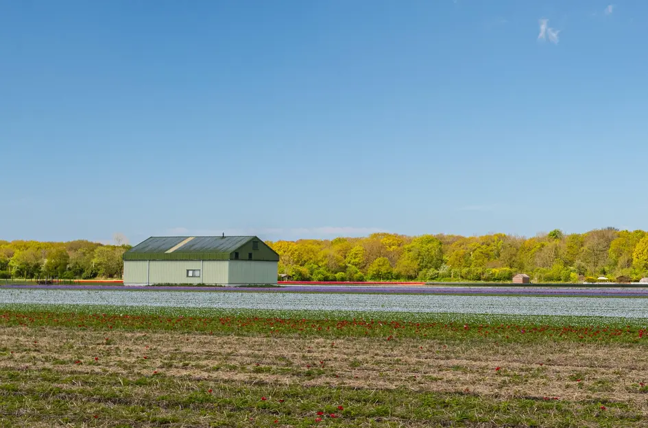 Zanderijweg 14, bouwnummer 39 