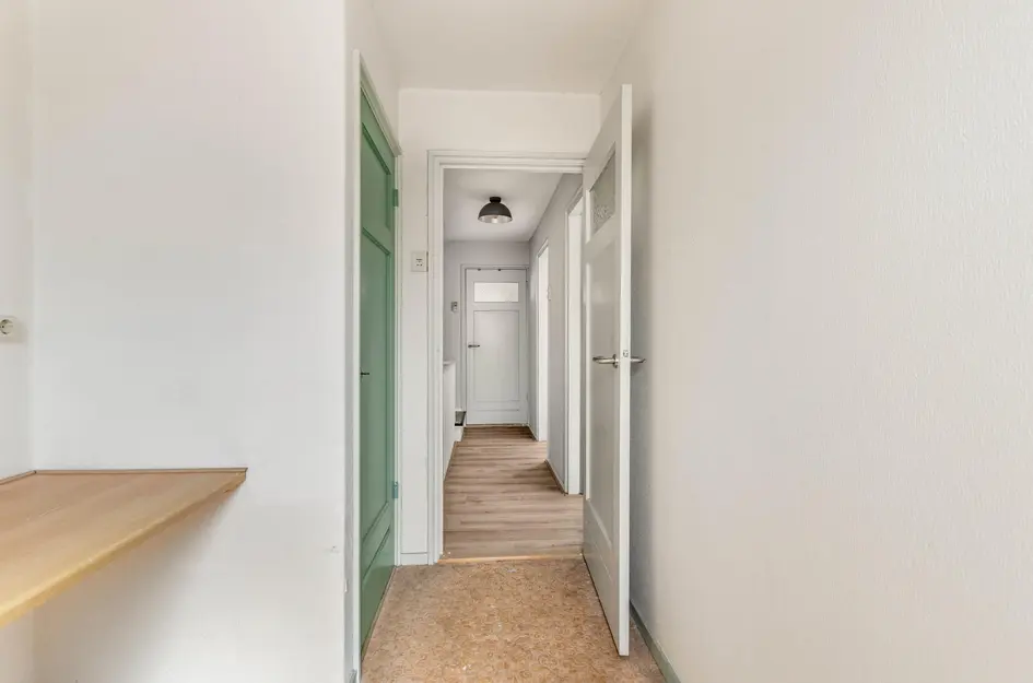 Alexander Bellstraat 46