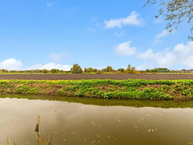 Westfriesedijk 44, WINKEL