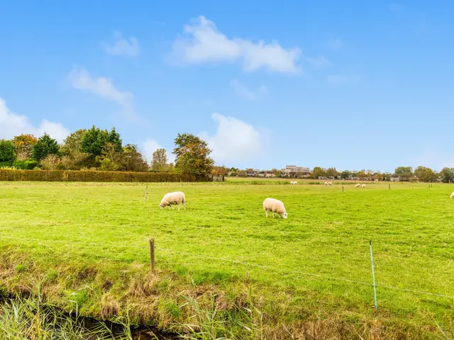 De Herderin 50, UITGEEST