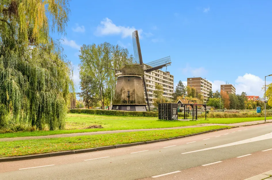 Van Ostadelaan 124