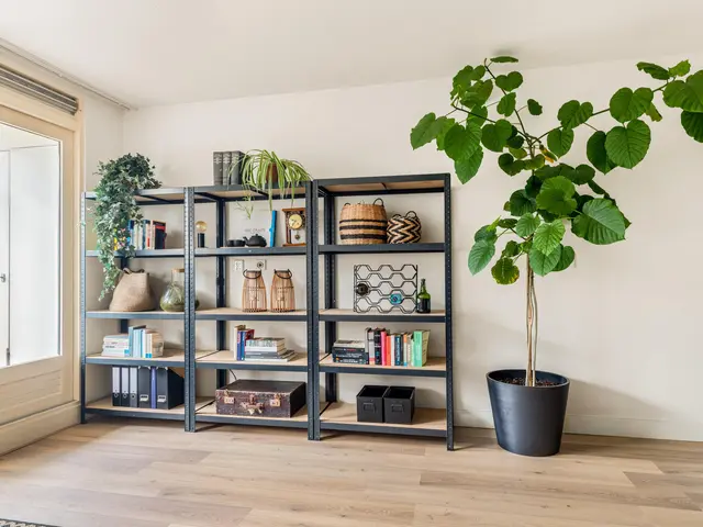 C.F. Smeetslaan 95, CASTRICUM