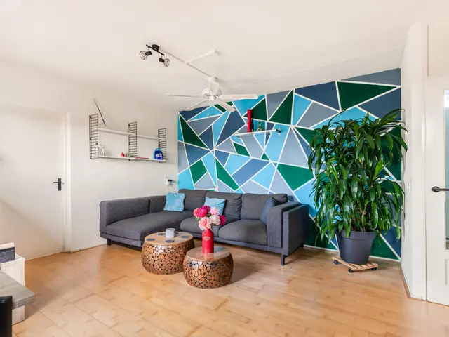 De Zetter 71, WORMERVEER