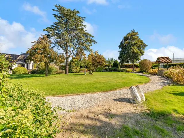 Luttik Cie 37, HEEMSKERK