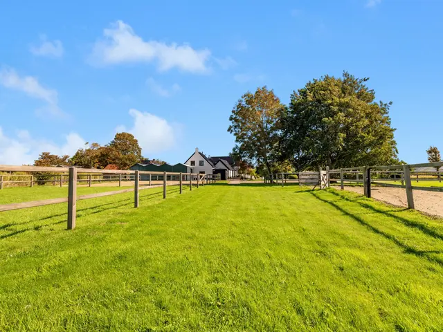 Luttik Cie 37, HEEMSKERK