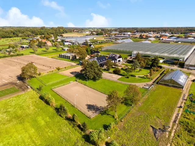 Luttik Cie 37, HEEMSKERK