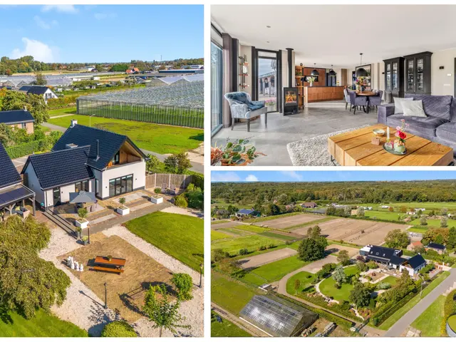 Luttik Cie 37, HEEMSKERK