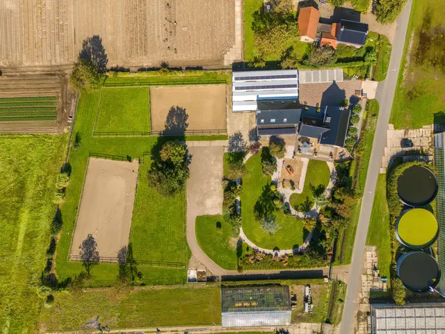 Luttik Cie 37, HEEMSKERK