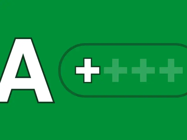 Noorderkade 323, ALKMAAR