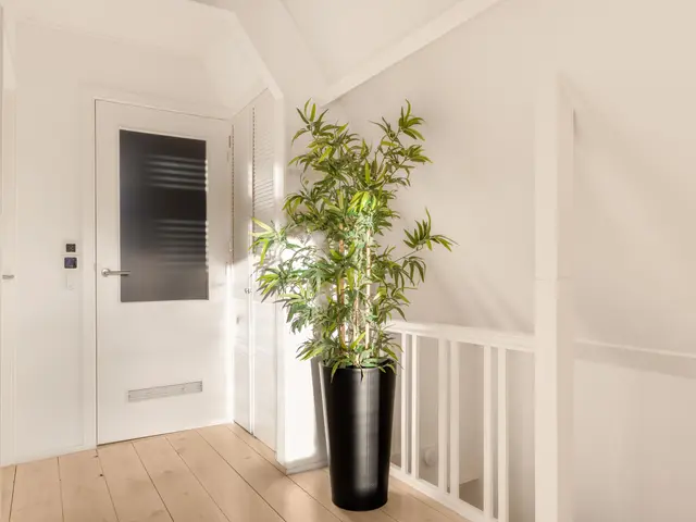 C.H. Moensstraat 8, BEVERWIJK