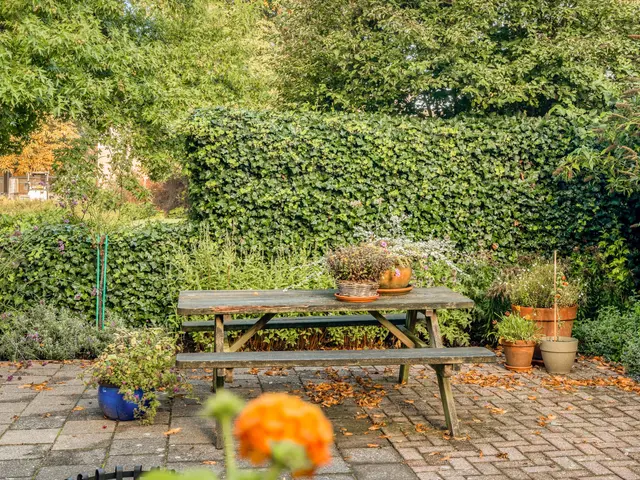 Overtoom 54, CASTRICUM