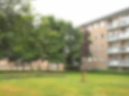 Ingen Houszstraat 117