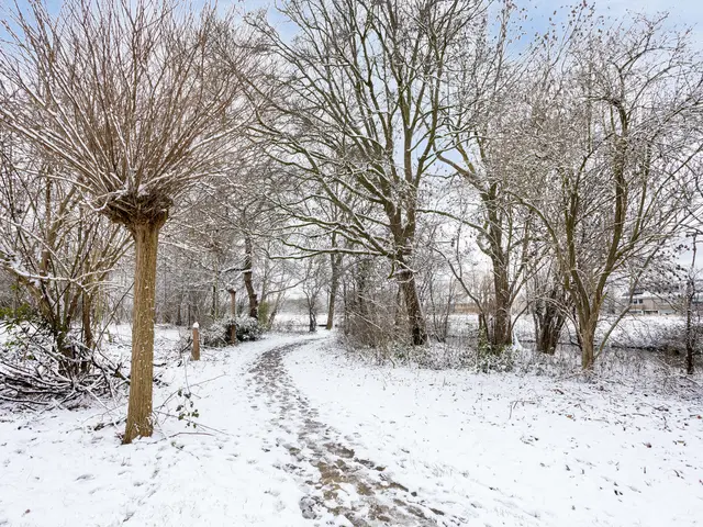 Korenmolenlaan 41, BOVENKARSPEL