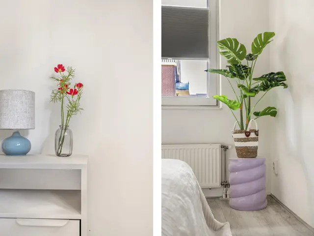 Torenstraat 4b, CASTRICUM
