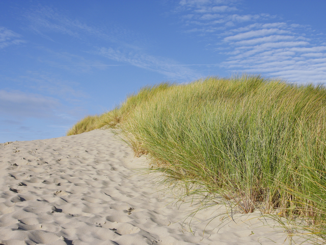 Slingerpad 12, bouwnummer 32 , CASTRICUM