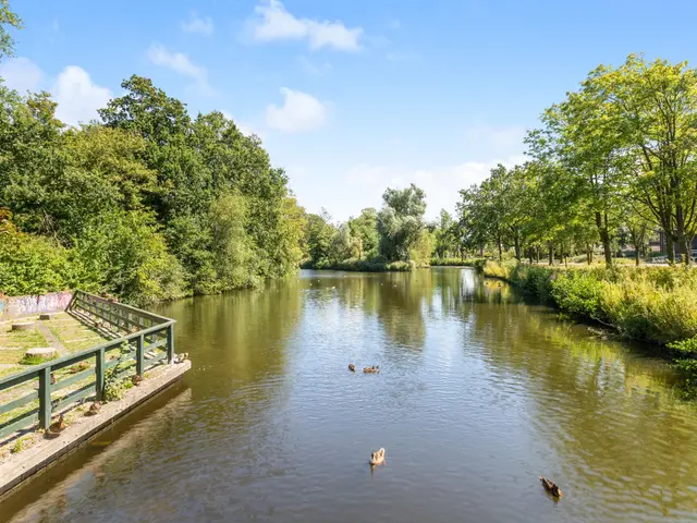 Koekoeksbloem 18, CASTRICUM