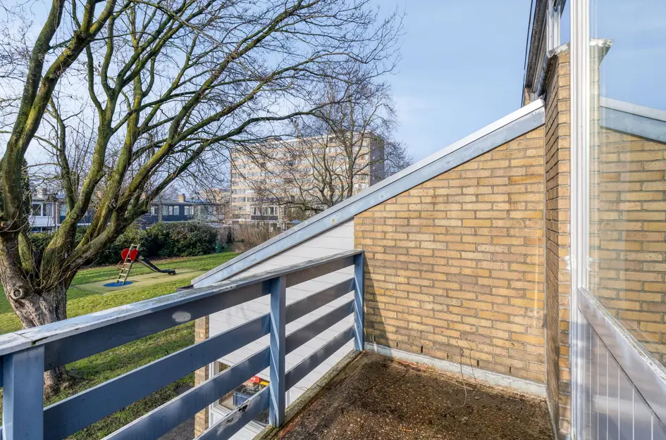 Jan van Goyenstraat 119