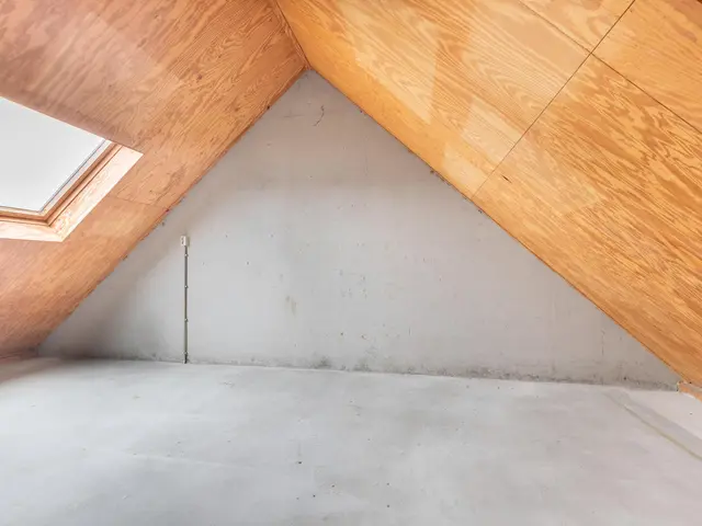 Dinkel 13, HEERHUGOWAARD