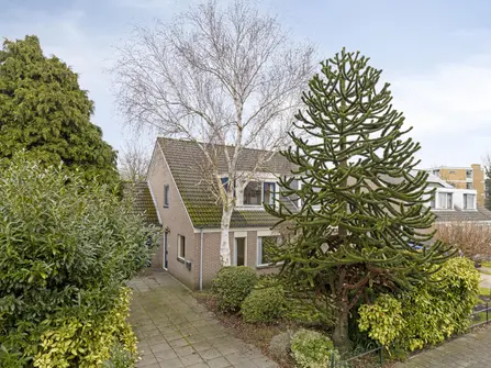 Frans Mentonstraat 3