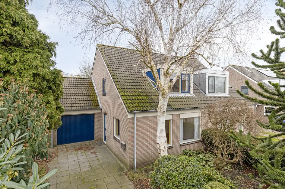 Frans Mentonstraat 3