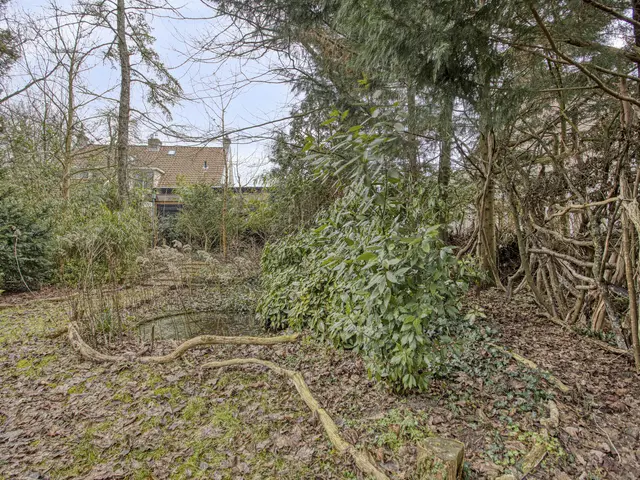 Prof. Winklerlaan 7, CASTRICUM