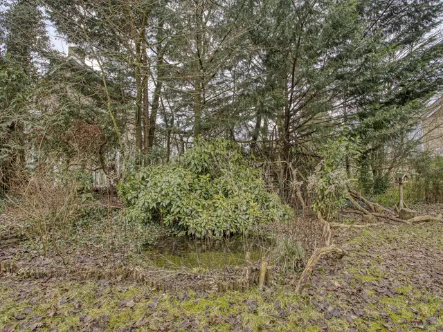 Prof. Winklerlaan 7, CASTRICUM