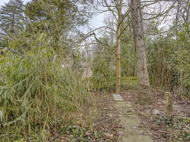 Prof. Winklerlaan 7, CASTRICUM