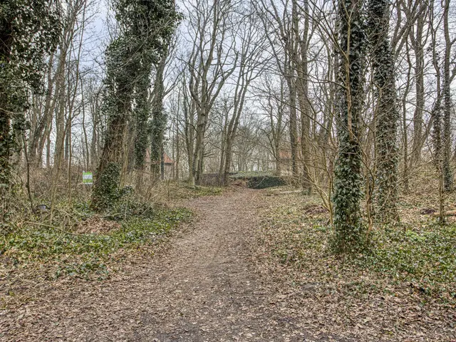 Prof. Winklerlaan 7, CASTRICUM