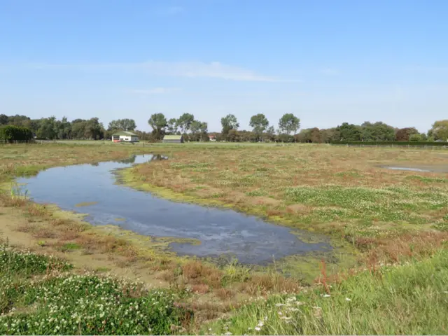Zanderijweg 15 , CASTRICUM