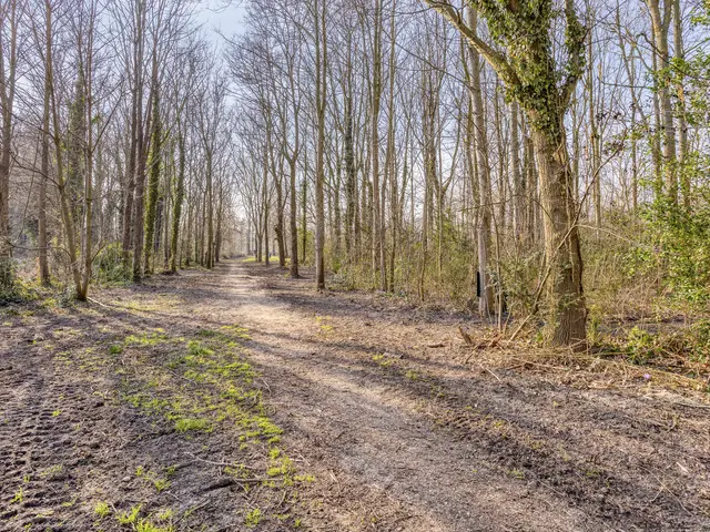 Hoflanderweg 200, BEVERWIJK
