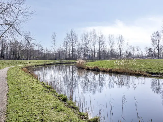 Hoflanderweg 200, BEVERWIJK