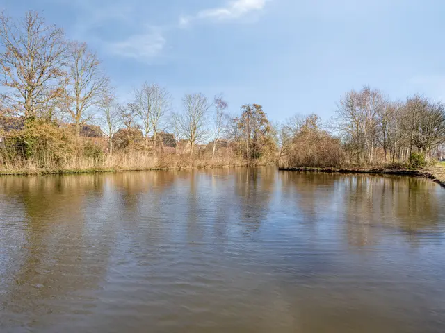Dag Hammarskjöldlaan 67, CASTRICUM
