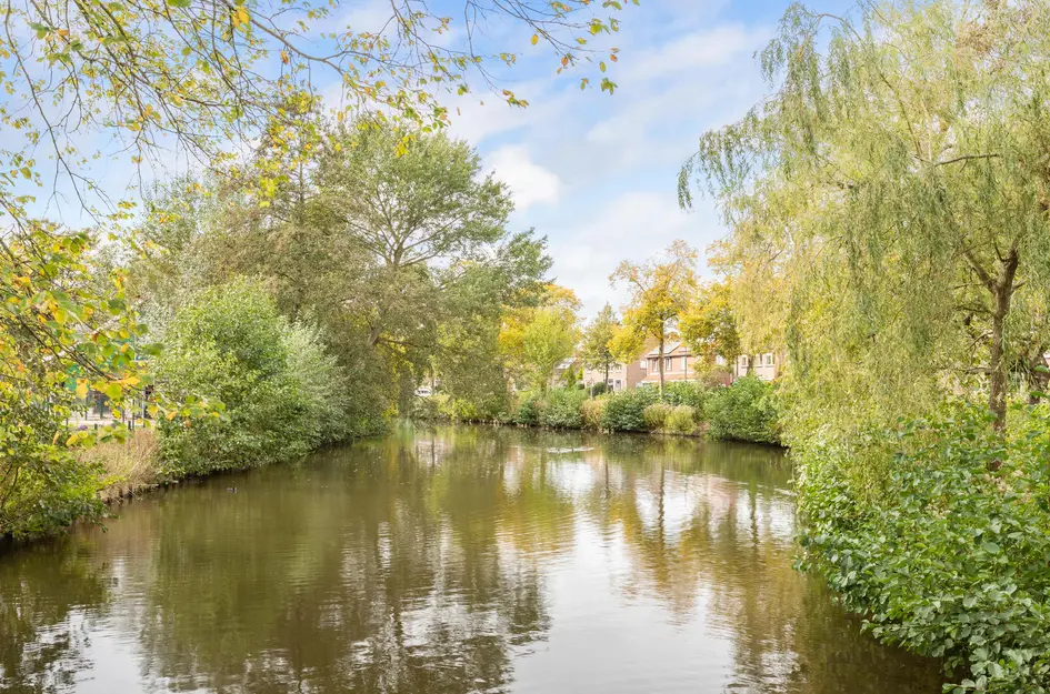 Constantijn Huygensstraat 98