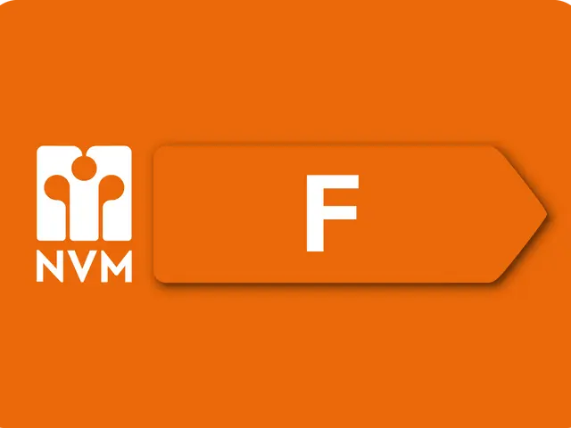 Constantijn Huygensstraat 98, HEEMSKERK