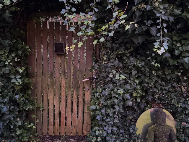 Julianaweg 59, WIJK AAN ZEE