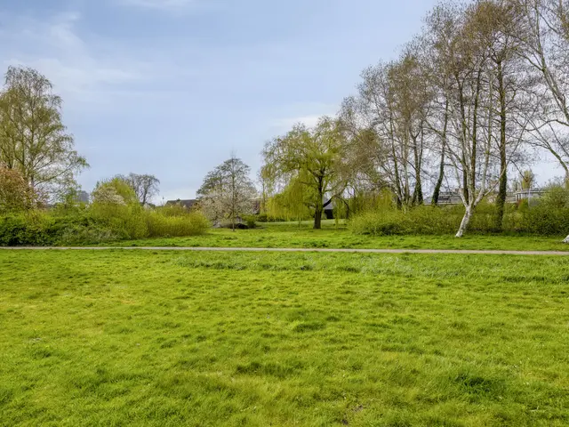 Rijnstraat 44, HEEMSKERK