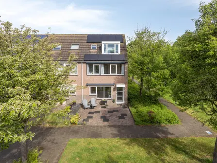 Leverkruid 28