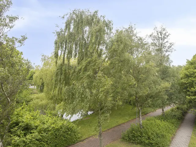 Jan Ligthartstraat 749, HEEMSKERK