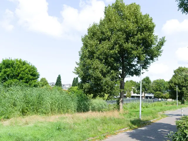 Oesdommerveen 12, HEILOO