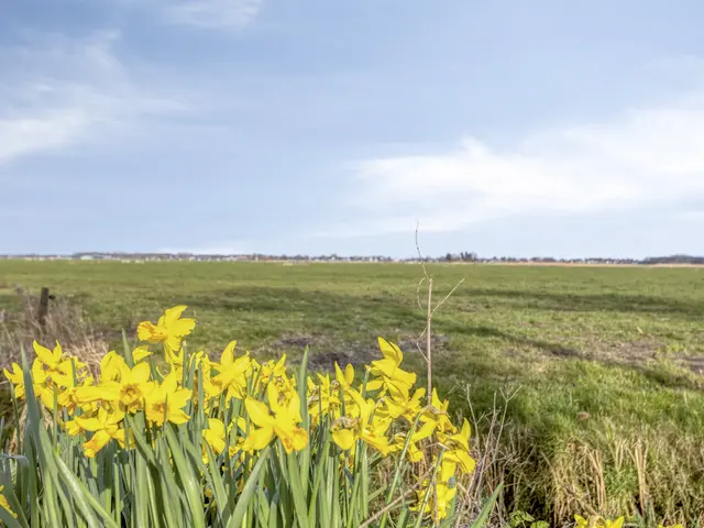 Heereweg 9b, CASTRICUM