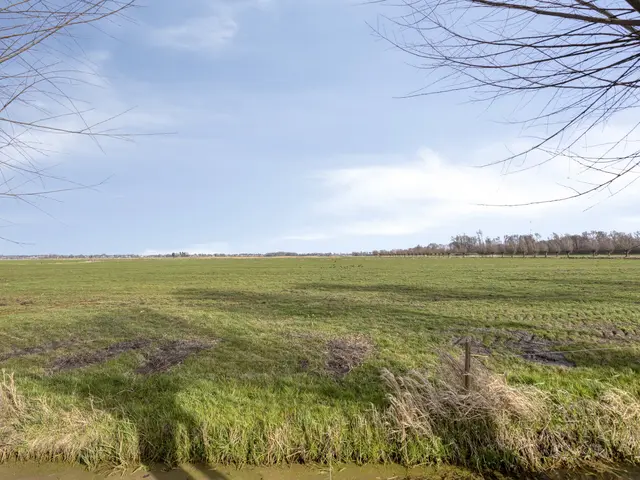 Heereweg 9b, CASTRICUM