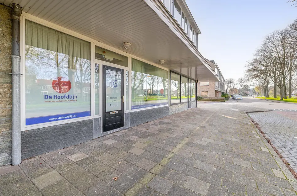 Anna Paulownastraat 16