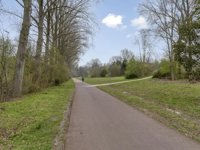 Stalpaertstraat 80, ALKMAAR