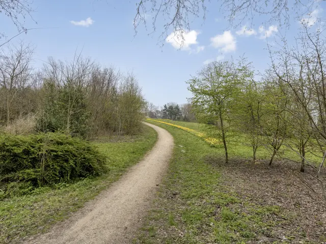 Stalpaertstraat 80, ALKMAAR
