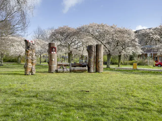 Raadhuisstraat 45, HEEMSKERK