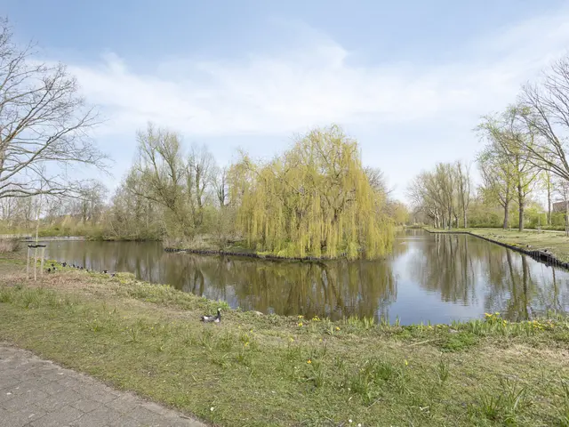 Henri Dunantsingel 156, CASTRICUM