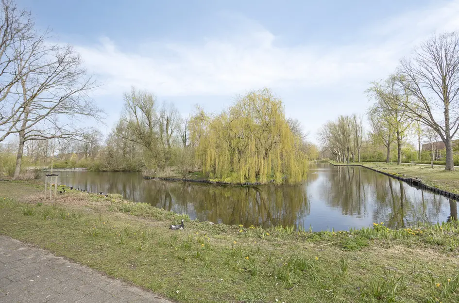 Henri Dunantsingel 156