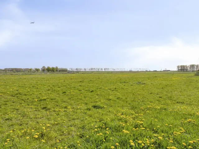 Burgemeester van Roosmalenstraat 31, UITGEEST